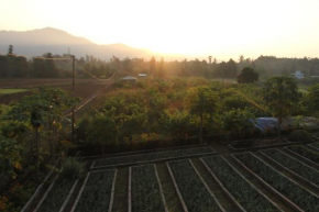 Forest Side Farm - Homestay at Kotabagh Near Nainital and Jim Corbett
